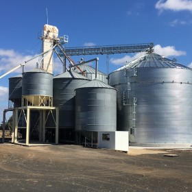 Manilya_North_Star_New