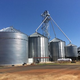 Tullinga_Downs_Noth_Star_2